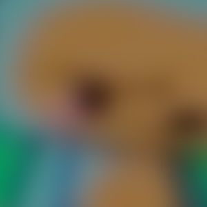 Meet your Posher, Alajsiah